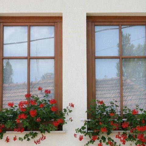 Családi házak, Magyarország